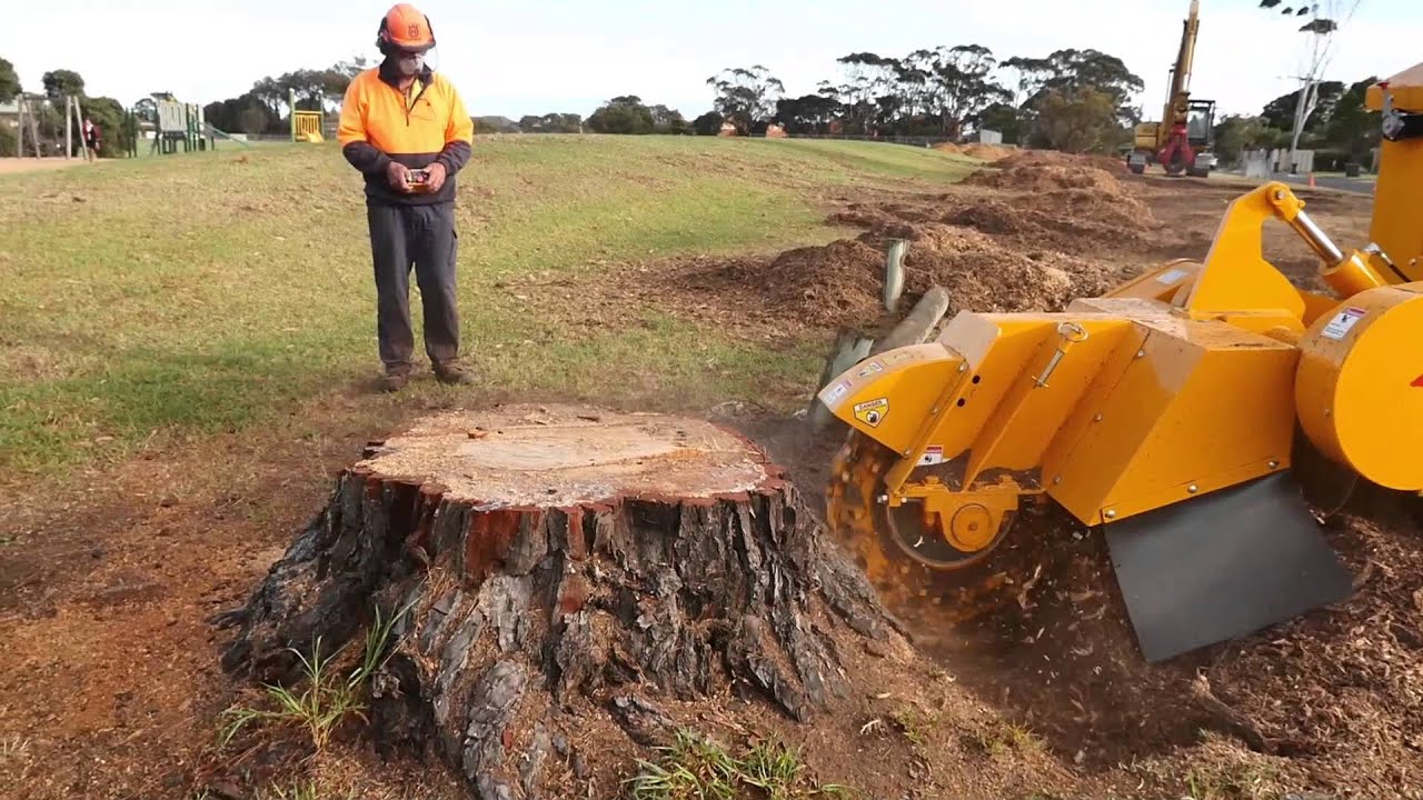 What Is Tree Stump Removal London