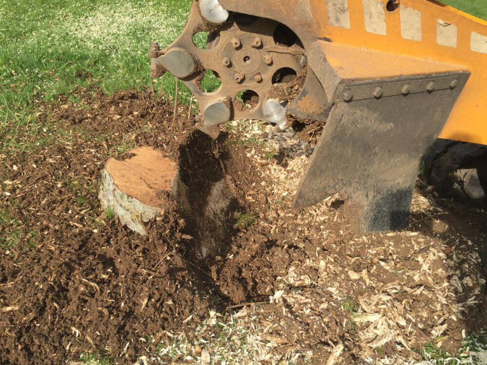 Manual Stump Removal London