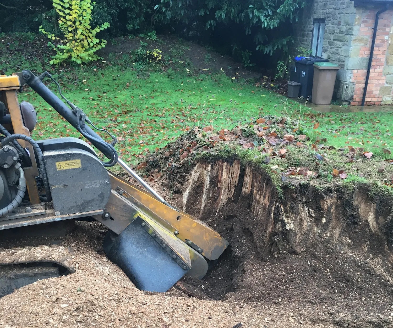 Safe Tree Stump Removal London